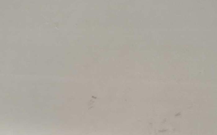 南斯拉夫白