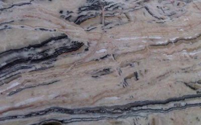 Zebra Onyx